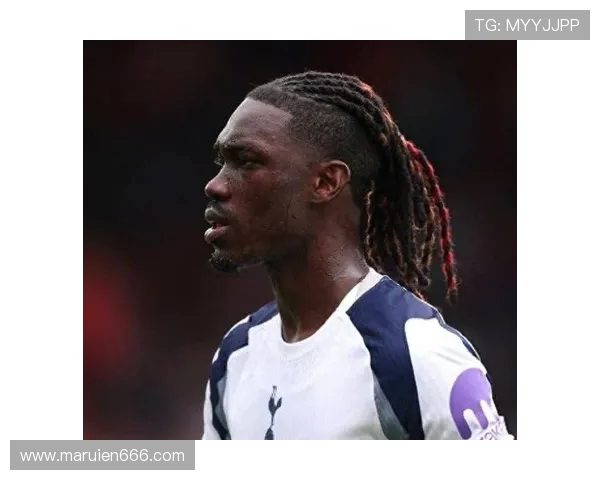 汉堡布鲁日竞逐武什科维奇 热刺新帅弗兰克将评估租借可行性